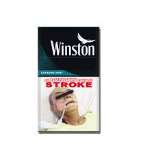 WINSTON EXTREME MINT 20`S FT