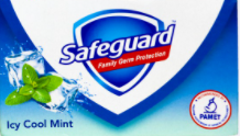 SAFEGUARD ICY COOLMINT 60G
